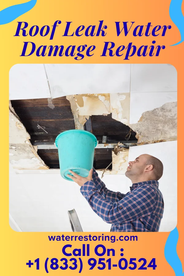 Roof Leak Water Damage Repair in Madison, NE